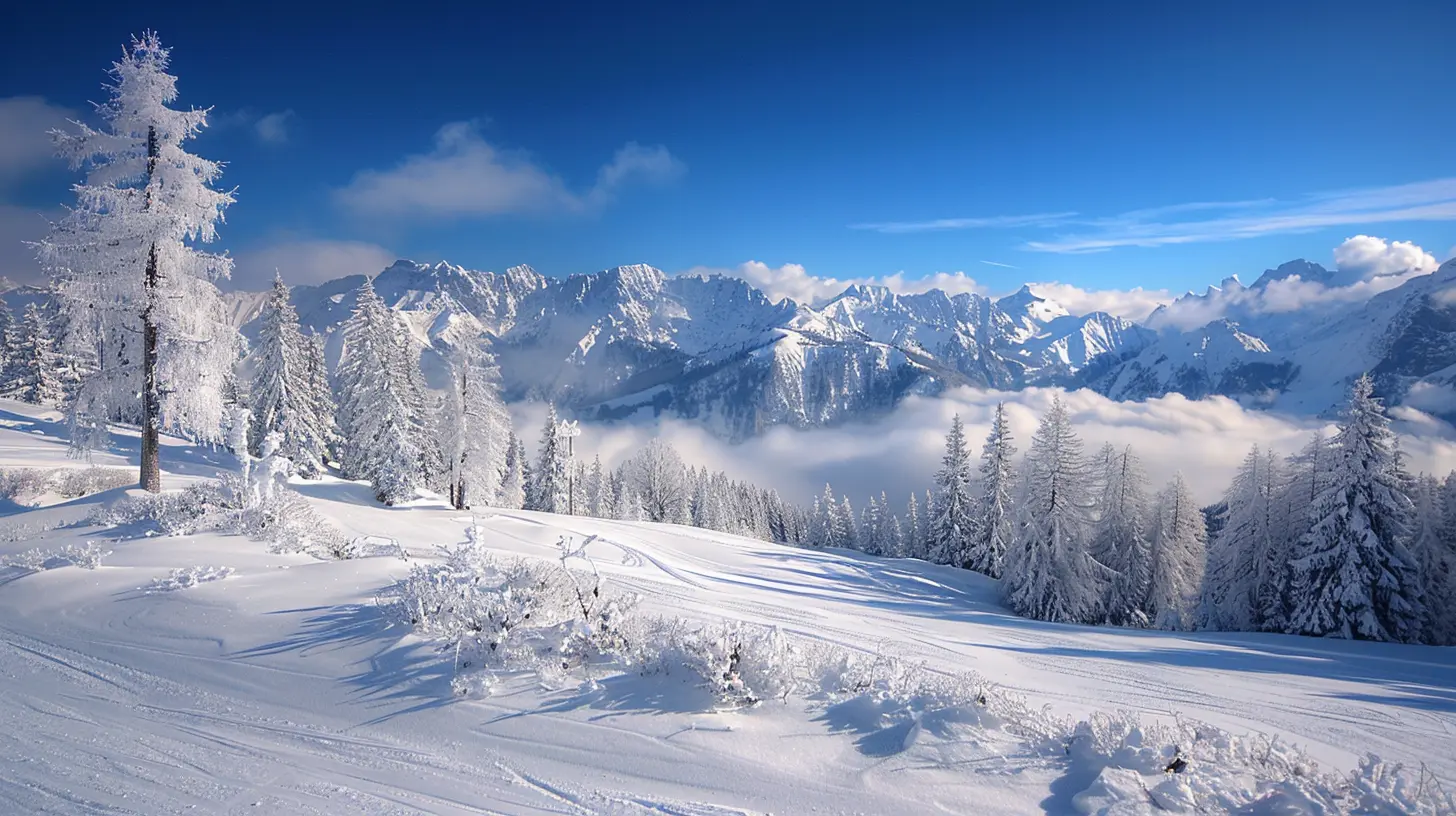 The Best Time of Day to Ski for Ideal Snow Conditions