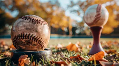 How to Organize Your Own Local Sports Tournament