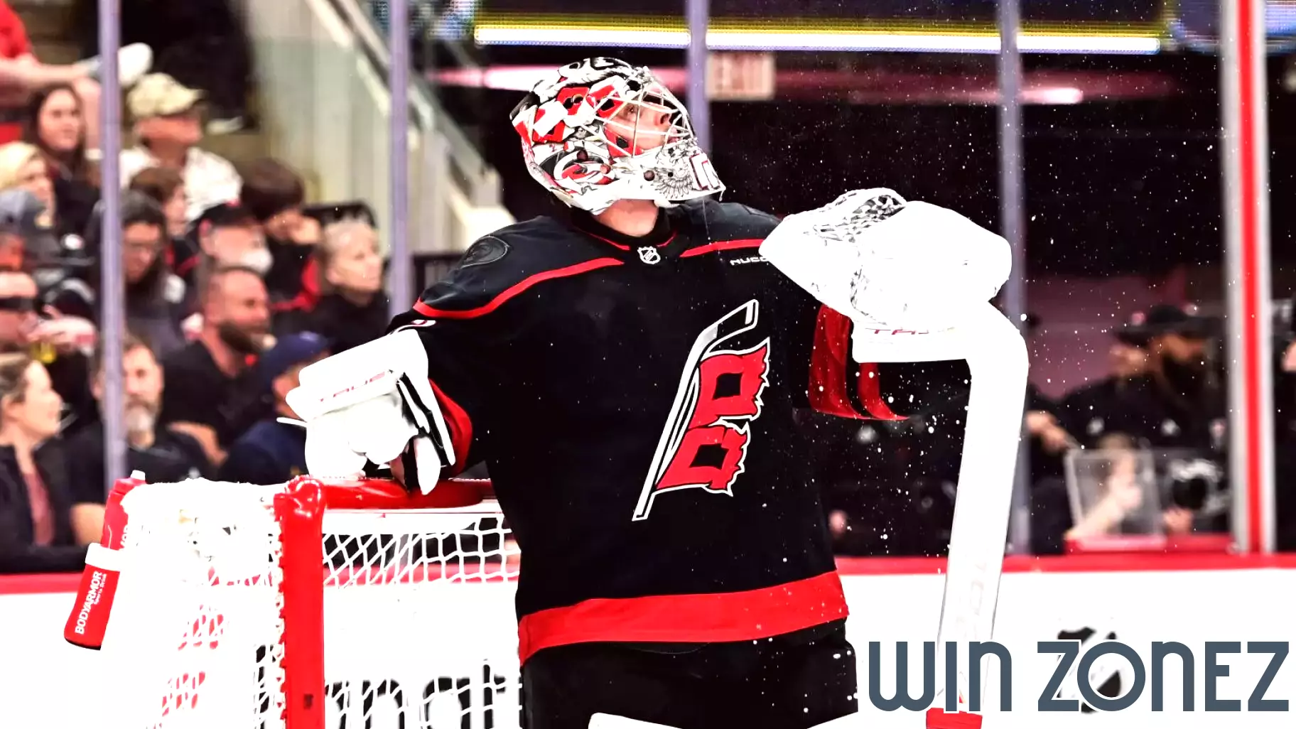Hurricanes Fall Short Against Determined Red Wings in 5-3 Defeat