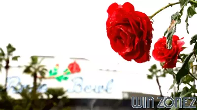 College football love letter: 10 things to love about the sport on Valentine's Day